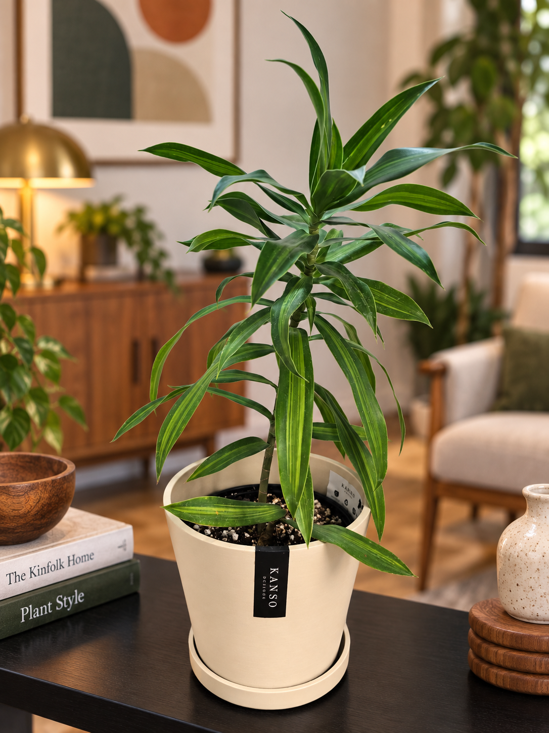 Kanso Designs 7" Pot with Saucer | Tapered | Indoor Plant Pot | Three Color Options