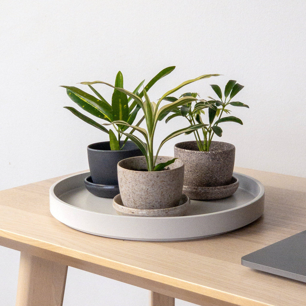 Kanso Designs Bamboo Fibre Mini Planter Pot (Black)