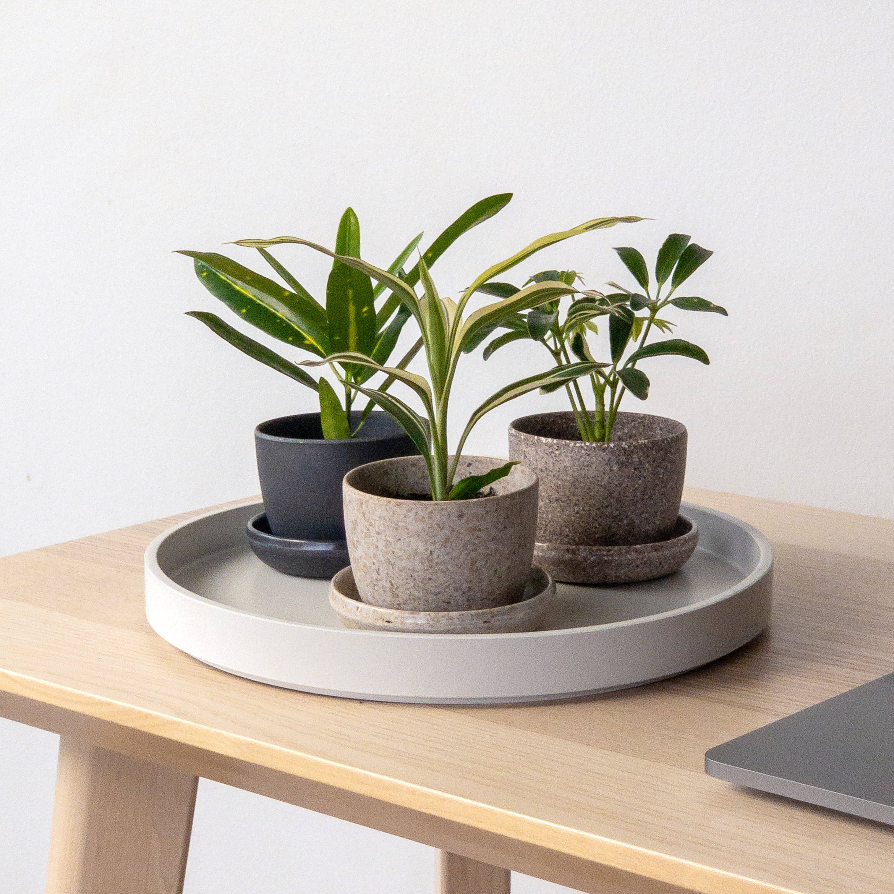 Kanso Designs Bamboo Fibre Mini Planter Pot (Black)