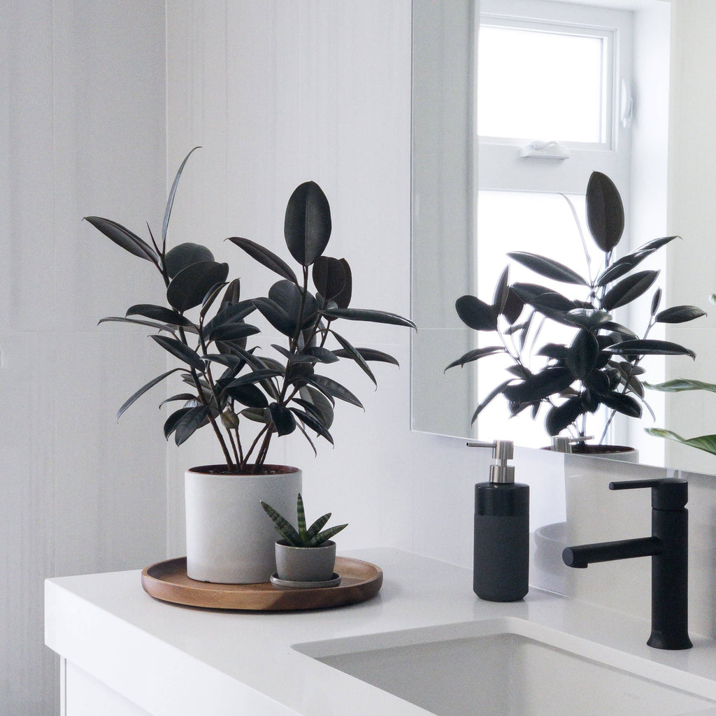 Kanso Designs Wheat Husk Mini Planter Pot