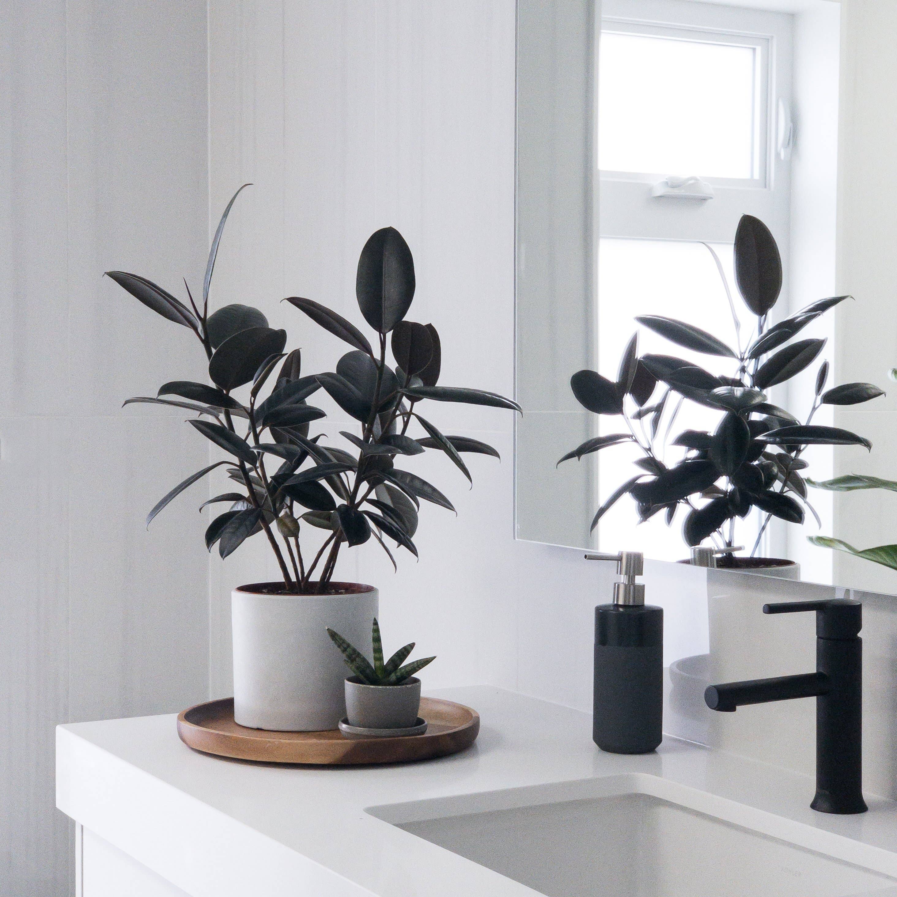 Kanso Designs Wheat Husk Mini Planter Pot