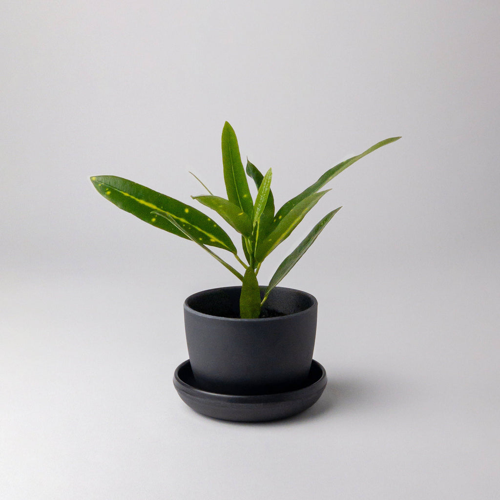 Kanso Designs Bamboo Fibre Mini Planter Pot (Black)