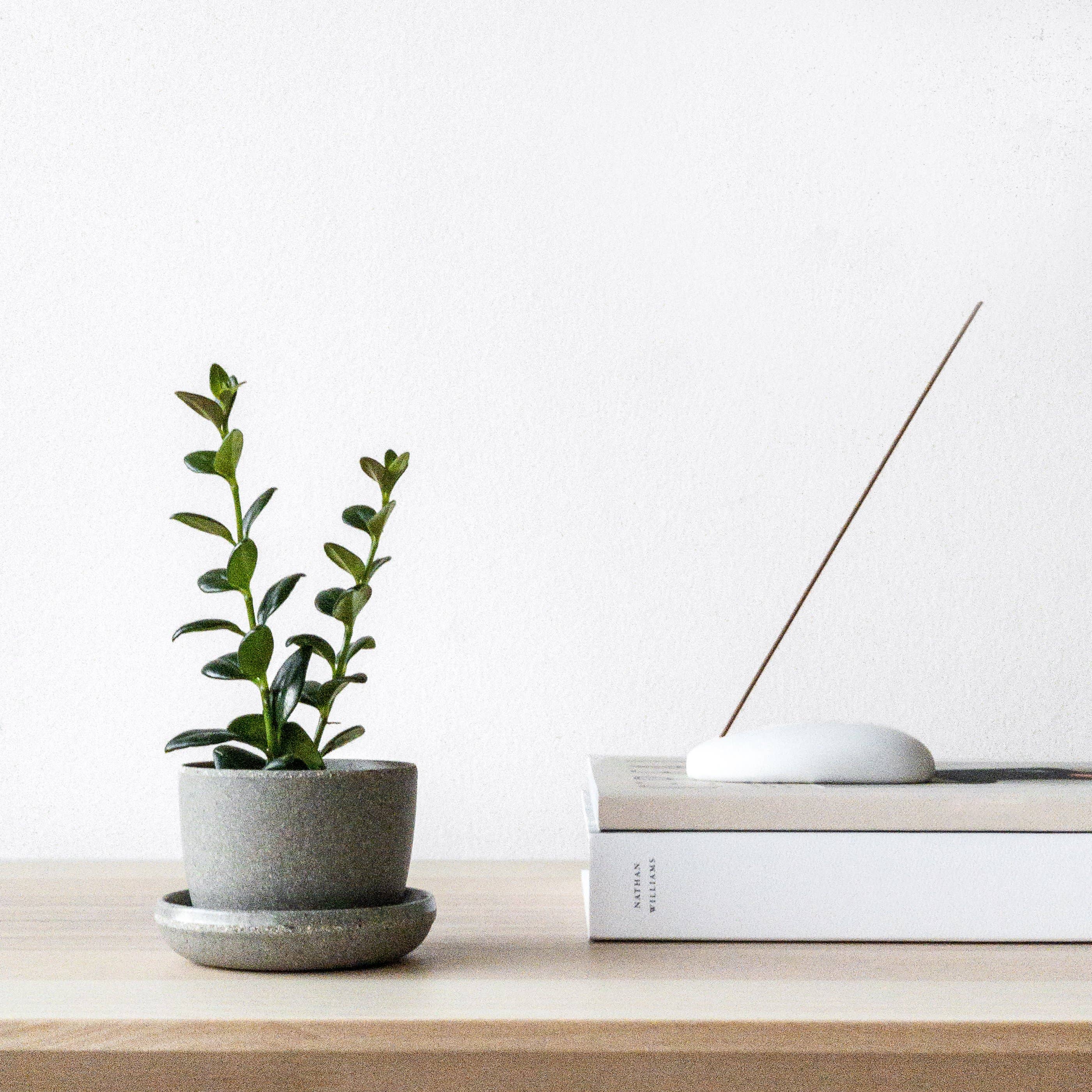 Kanso Designs Wheat Husk Mini Planter Pot