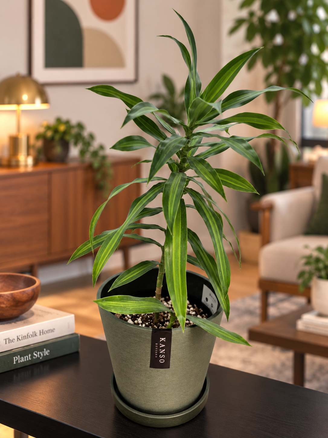 Kanso Designs 7" Pot with Saucer | Tapered | Indoor Plant Pot | Three Color Options