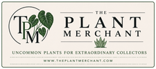 The Plant Merchant - Home