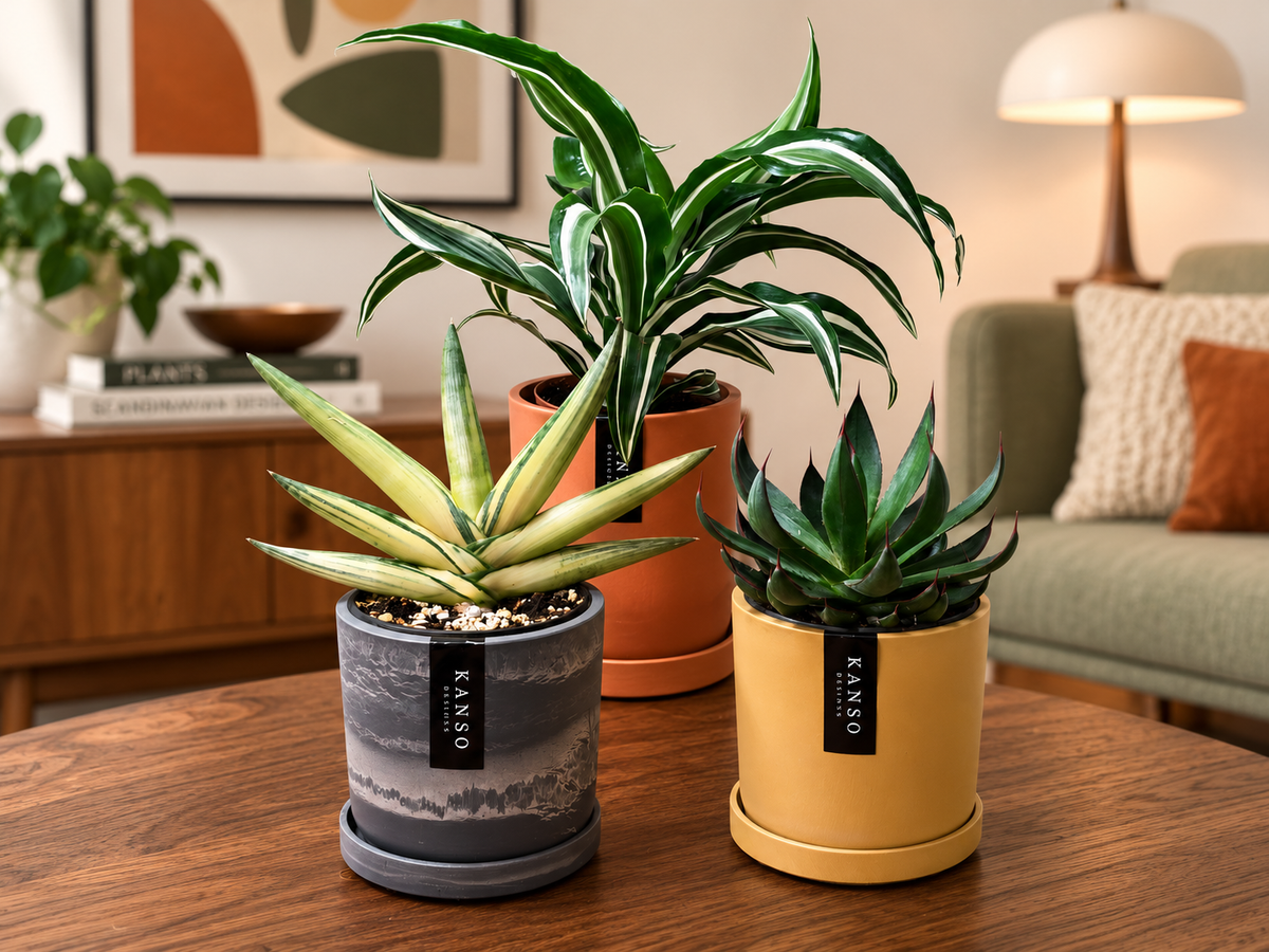 Kanso Seasonal Designs 4" Mustard Seed & Dusted Clay Planters & Saucers