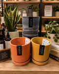 Kanso Designs 4" Mustard Seed & Dusted Clay Planters & Saucers