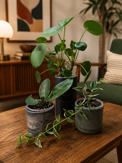 Kanso Designs 3.5" Earth Tone Mini Planters | Black - Olive Sage - Arctic Stone