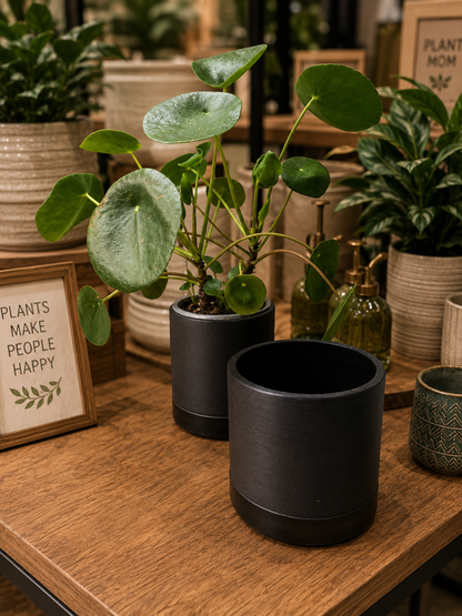 Kanso Designs 3.5" Earth Tone Mini Planters | Black - Olive Sage - Arctic Stone