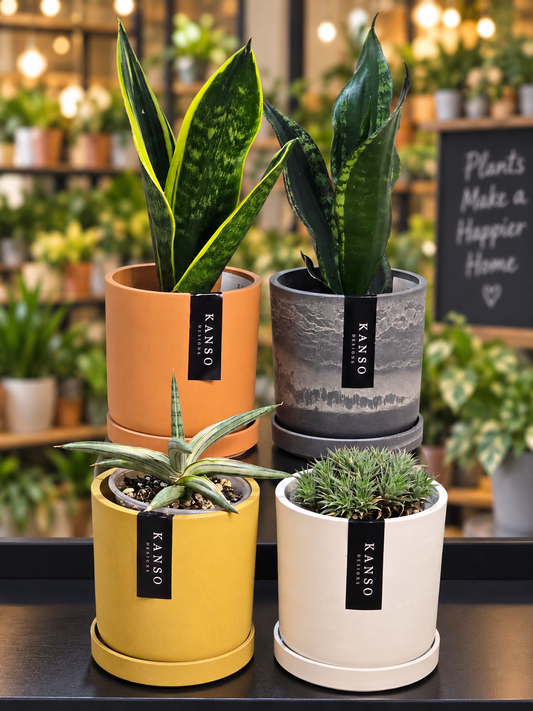 Kanso Designs | 4" Planter & Saucer | Four Different Color Variations