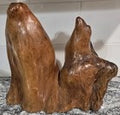 Unique Cypress Wooden Table Top Sculpture Mid Century Modern Design Rustic Burl