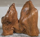 Unique Cypress Wooden Table Top Sculpture Mid Century Modern Design Rustic Burl